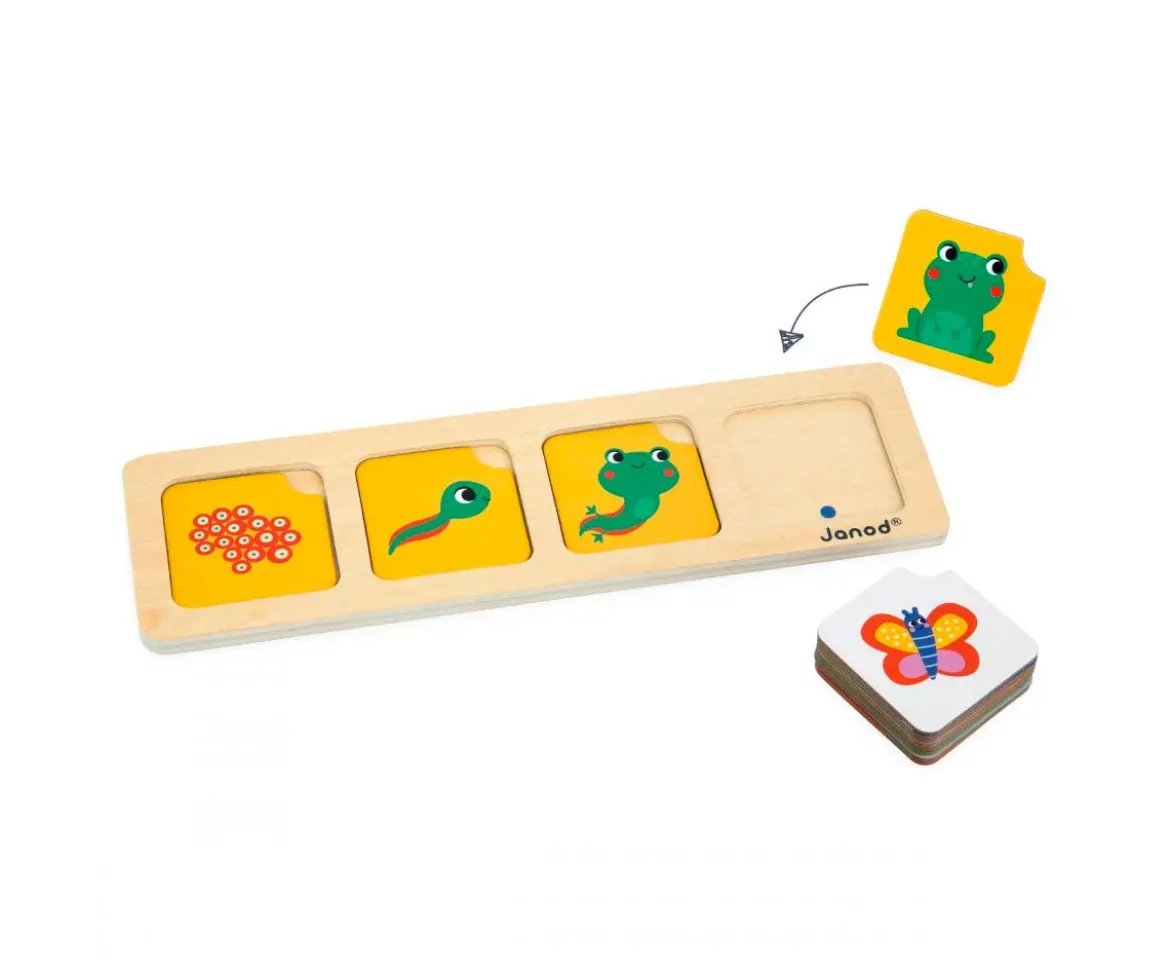Tarjetas de Secuencia - El Jardín