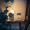 Taza 360º Night & Day Fox
